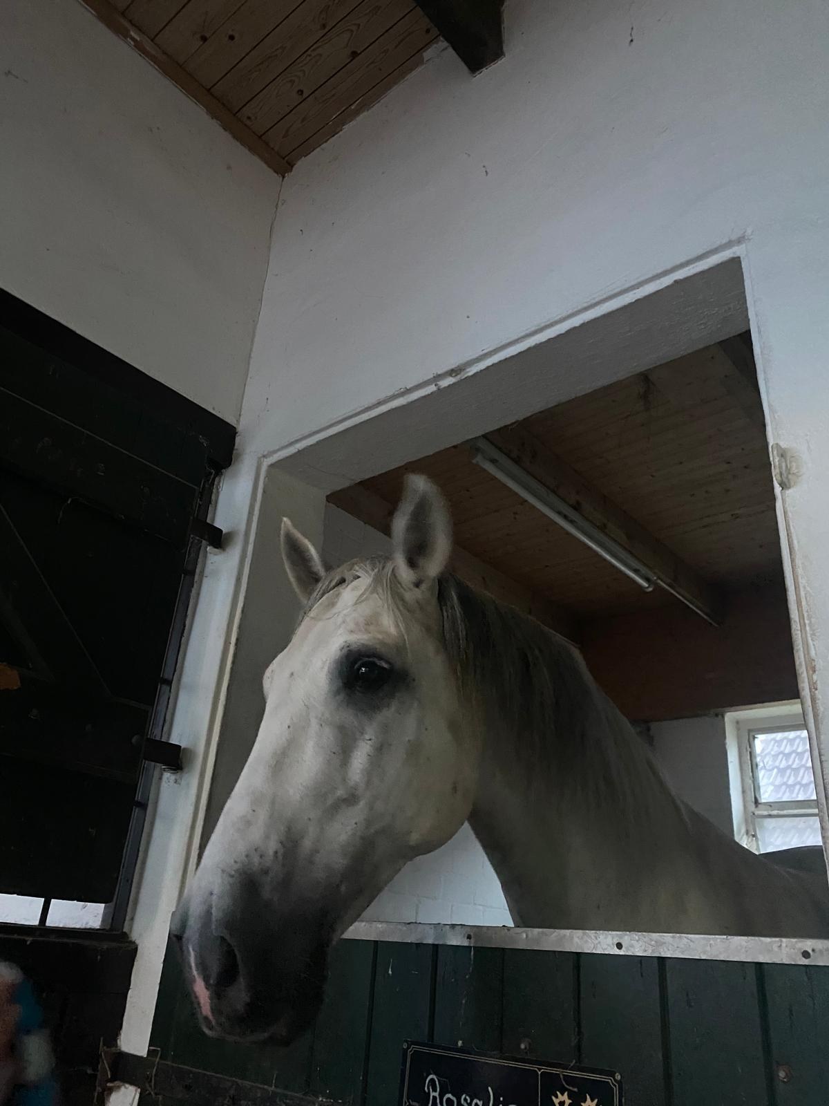 Besuch in der Box