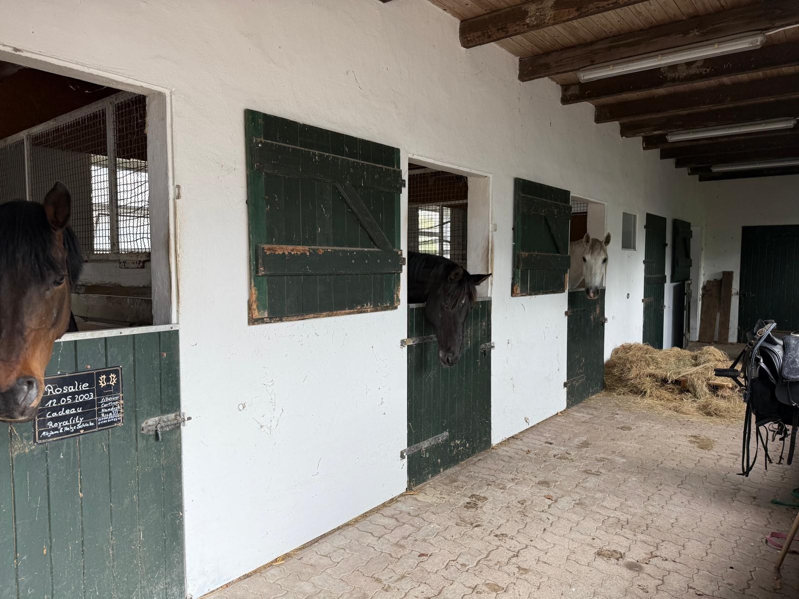 Der Stall