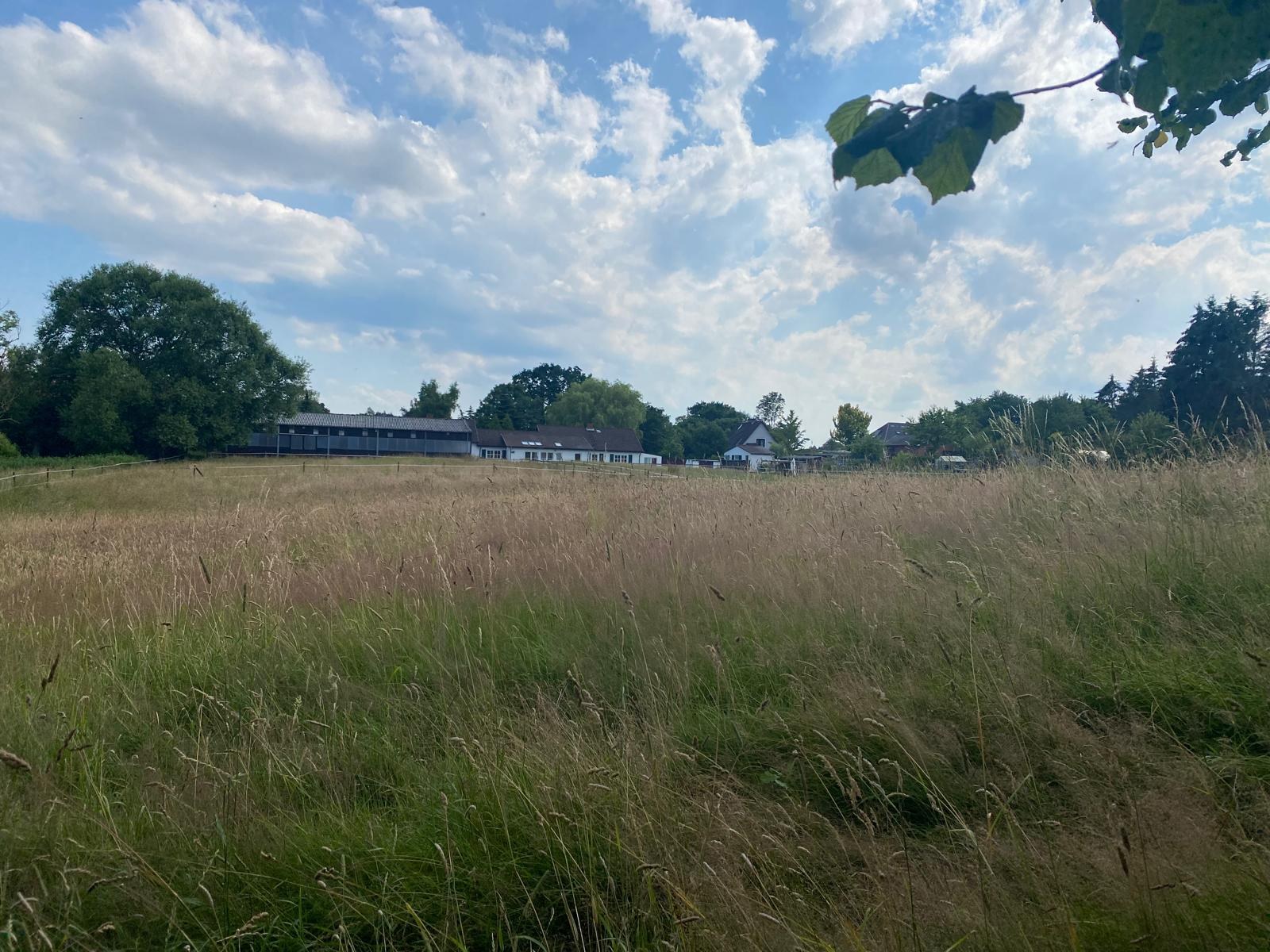 Weite Wiesen rund ums Haus